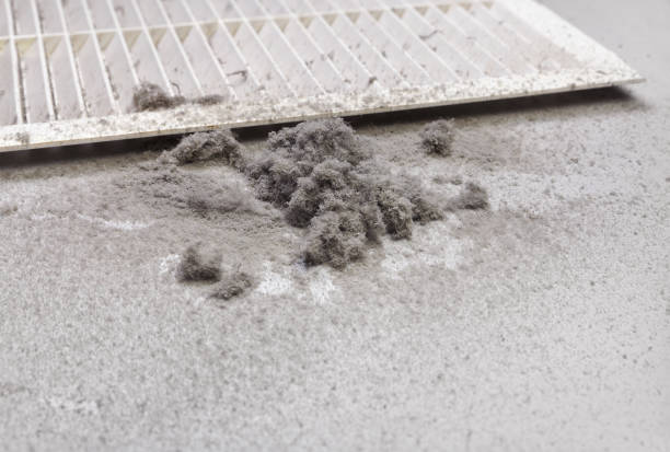 Best HVAC System Cleaning  in Lake Isabella, MI