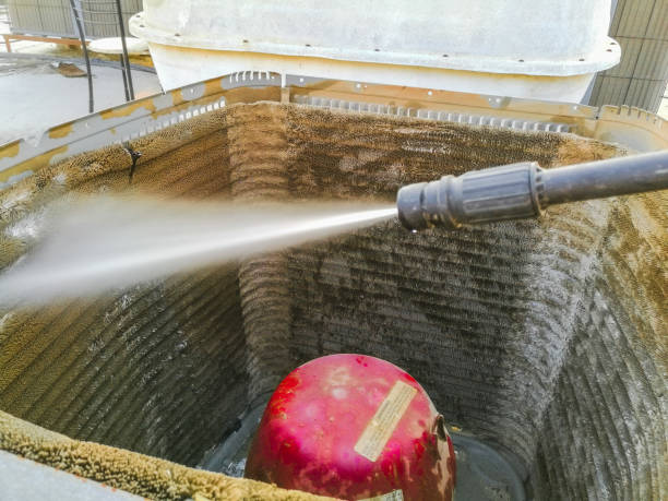 Best Air Duct Mold Removal  in Lake Isabella, MI
