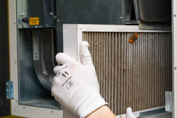 Best Air Duct Cleaning Near Me  in Lake Isabella, MI