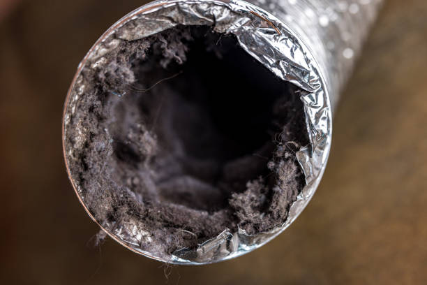 Best HVAC System Cleaning  in Lake Isabella, MI